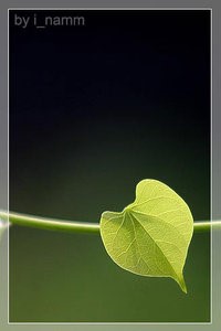 เมื่อหัวใจมีรัก