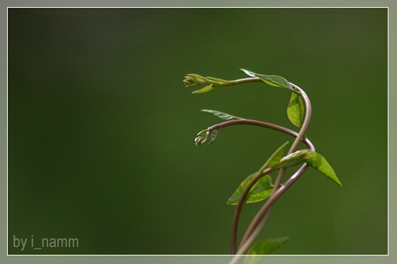 เกาะ-เกี่ยว-พัน