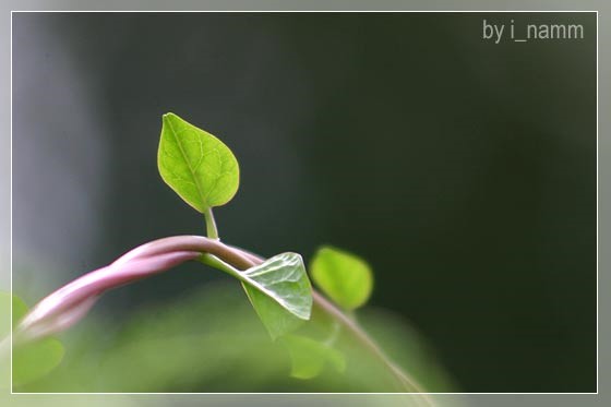 เกาะ-เกี่ยว-พัน