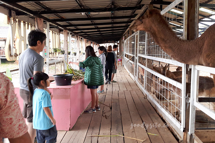 เขาใหญ่ 3 ตลาดน้ำเขาใหญ่
