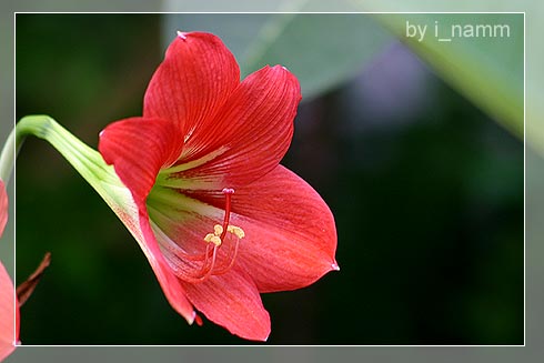 เขียนถึง “ความรัก” เพื่อความสุขในหัวใจ
