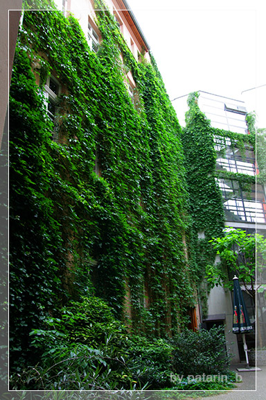 Europe Place 2: berlin day 1