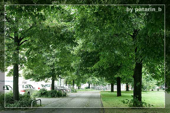 Europe Place 3: Munich day 2