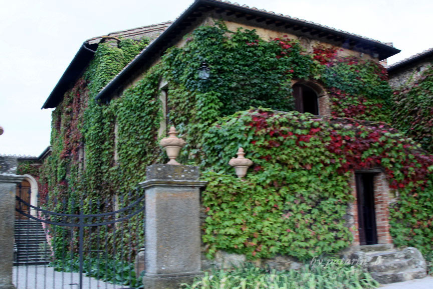 Europe อีกครั้ง 3: อิตาลี - Montalcino - Tenuta Greppo