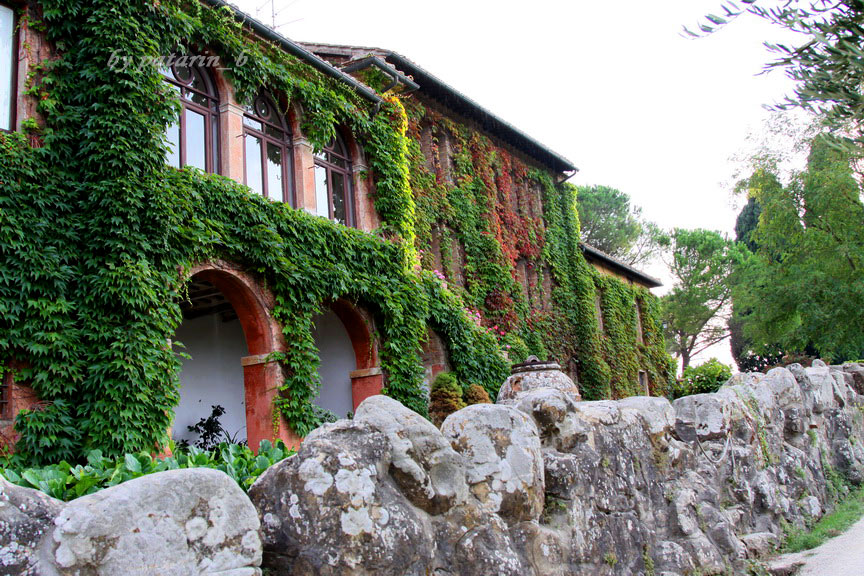 Europe อีกครั้ง 3: อิตาลี - Montalcino - Tenuta Greppo