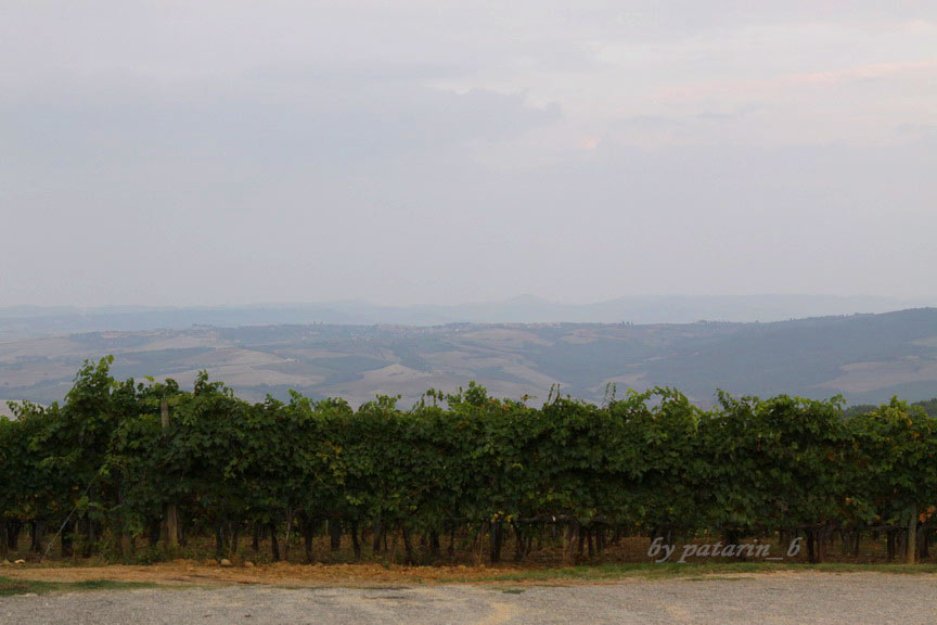 Europe อีกครั้ง 3: อิตาลี - Montalcino - Tenuta Greppo