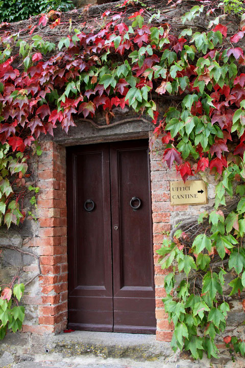 Europe อีกครั้ง 3: อิตาลี - Montalcino - Tenuta Greppo
