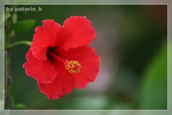 รังสิต คลอง 15