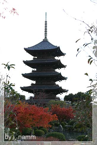 when i went to Japan