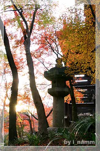 when i went to Japan
