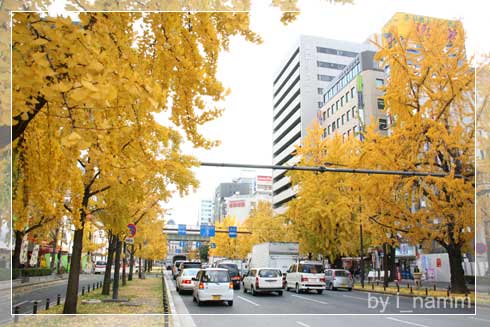 when i went to Japan