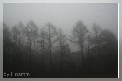 when i went to Japan