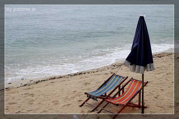 Loner Roaming...