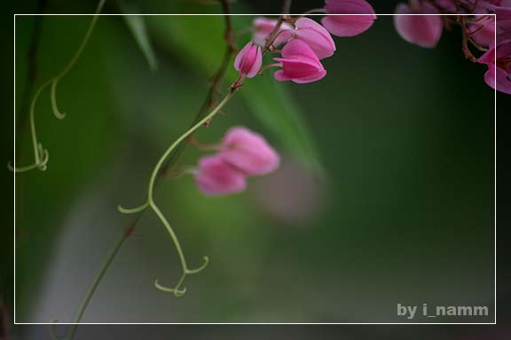 สิ่งที่อยากรู้