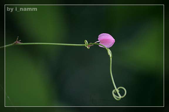 สิ่งที่อยากรู้