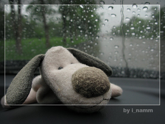 ฝนเทลงมา