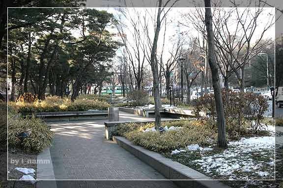 korea #6 