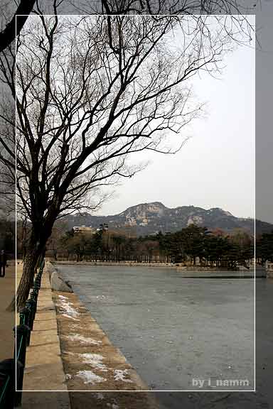 korea #6 