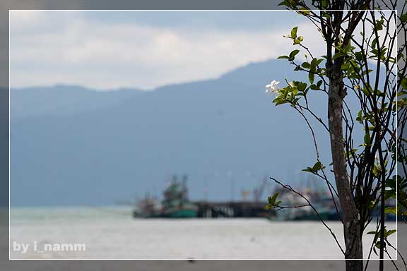 ทะเลที่ตราด... 