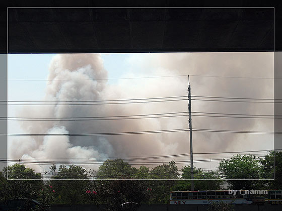 ~ ร้อนทุกหย่อมหญ้า ~
