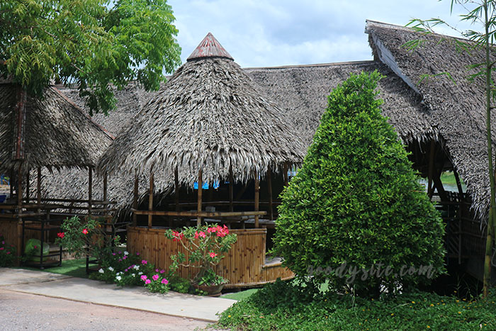 เพชรบุรี 5 ร้านข้าวใหม่ปลามัน