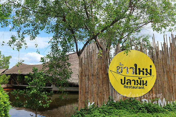 เพชรบุรี 5 ร้านข้าวใหม่ปลามัน