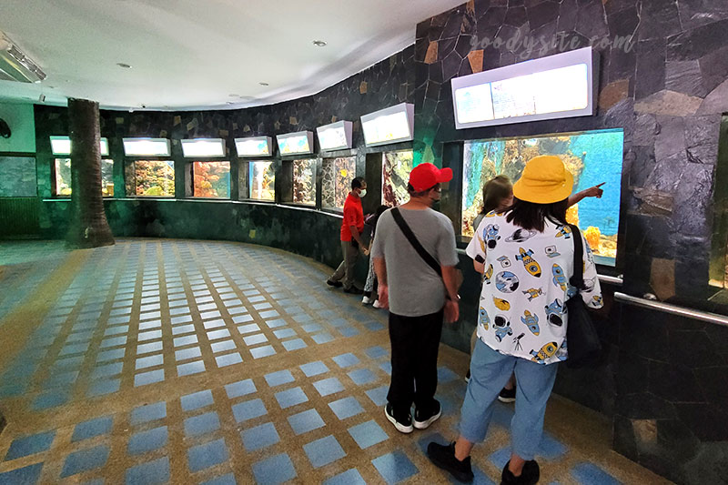 จันทบุรีอีกครั้ง 10 สถานแสดงพันธุ์สัตว์น้ำเฉลิมพระเกียรติ
