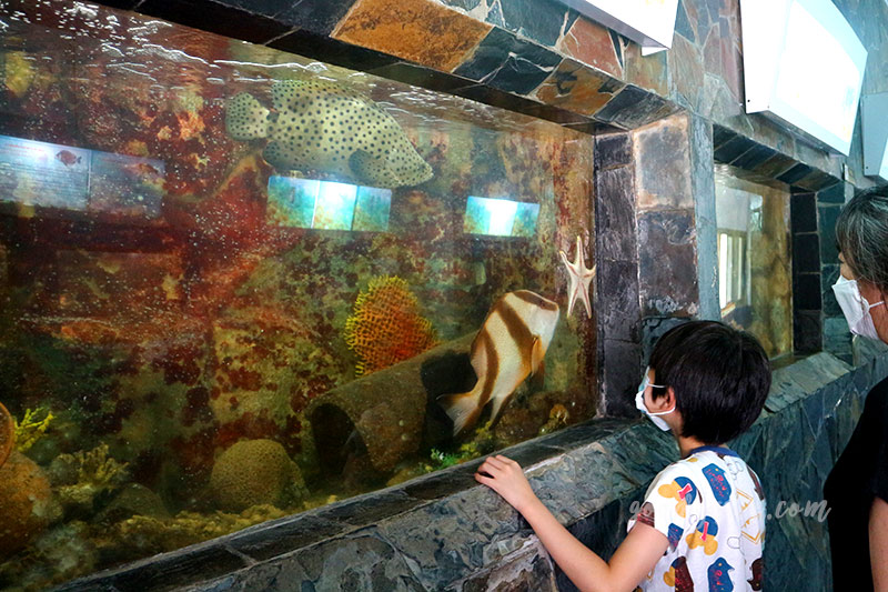 จันทบุรีอีกครั้ง 10 สถานแสดงพันธุ์สัตว์น้ำเฉลิมพระเกียรติ