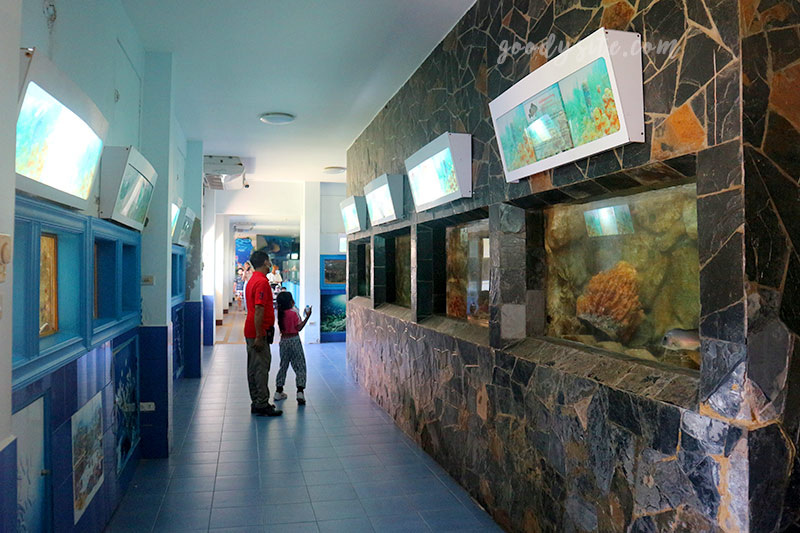 จันทบุรีอีกครั้ง 10 สถานแสดงพันธุ์สัตว์น้ำเฉลิมพระเกียรติ