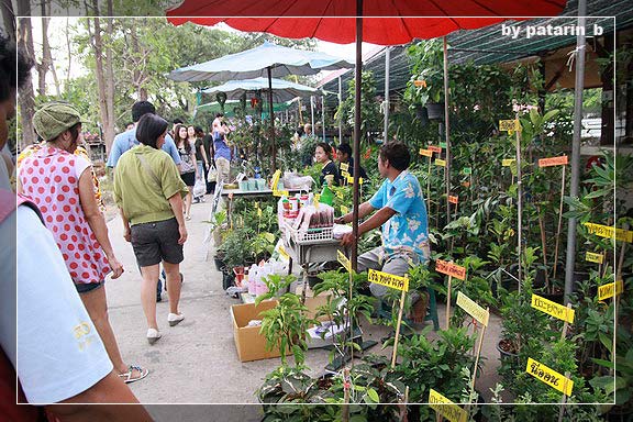 ตลาดน้ำ 