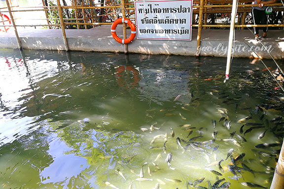 สวนน้ำพันท้ายนรสิงห์ 2 ตลาดริมคลองพ่อพันท้าย