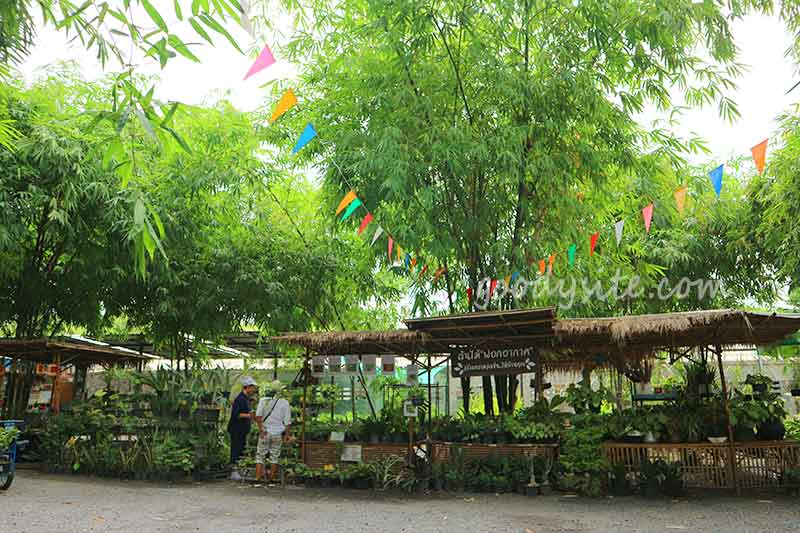 สระบุรี 2 - ตลาดหัวปลี
