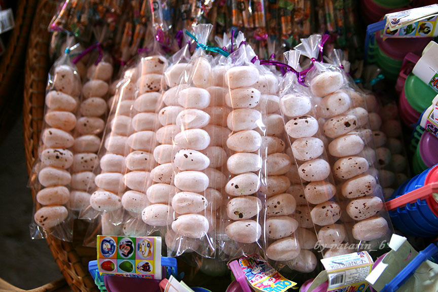 ตลาดโก้งโค้ง บ้านแสงโสม อยุธยา