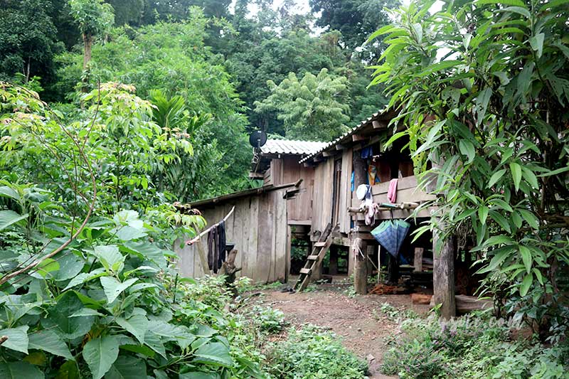 ตาก 1 โรงเรียนบ้านแม่ออกผารู ห้องเรียนสาขาทินึเด