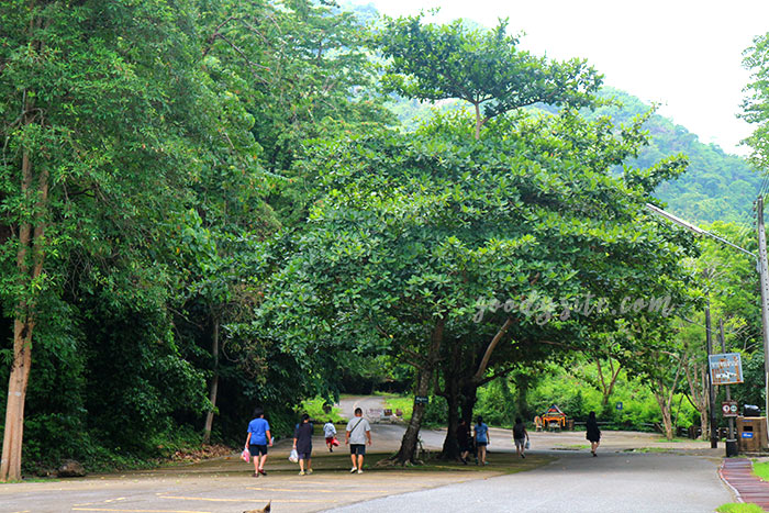 นครนายก 2 น้ำตกนางรอง