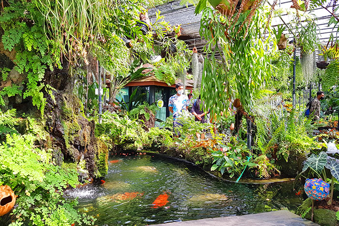 นครนายก 1 สวนป้าอินทร์ คลอง 15 องครักษ์