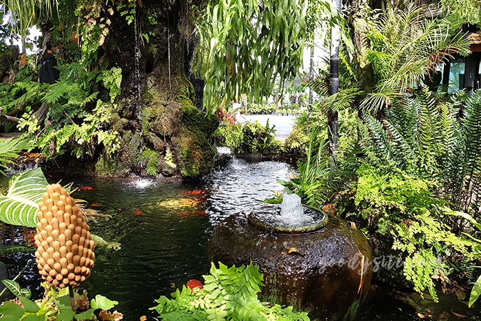 นครนายก 1 สวนป้าอินทร์ คลอง 15 องครักษ์