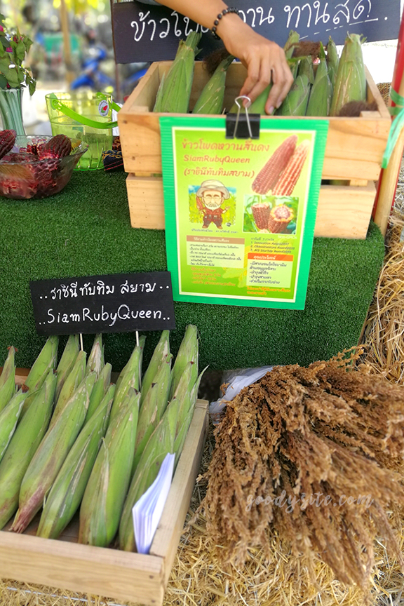 เพชรบูรณ์อีกครั้ง 2 ไก่ย่างวิเชียร นิวบัวตอง