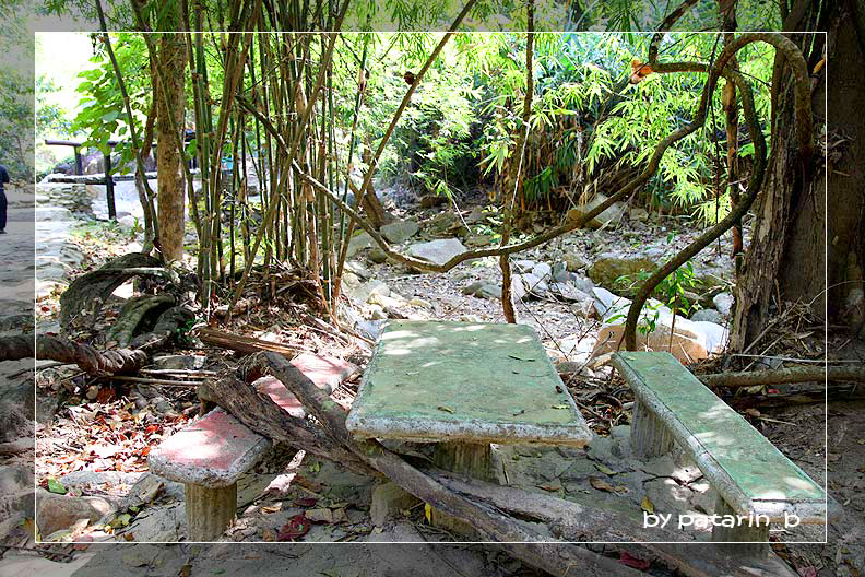 ภูทับเบิก 5 - น้ำตกแม่ยะ เชียงใหม่