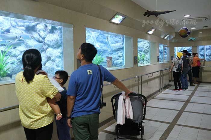 สถานแสดงพันธ์ุสัตว์น้ำบึงฉวากเฉลิมพระเกียรติ สุพรรณบุรี