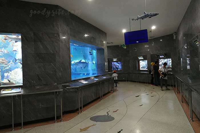 สถานแสดงพันธ์ุสัตว์น้ำบึงฉวากเฉลิมพระเกียรติ สุพรรณบุรี