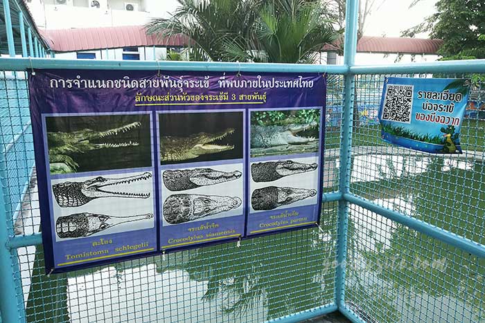 สถานแสดงพันธ์ุสัตว์น้ำบึงฉวากเฉลิมพระเกียรติ สุพรรณบุรี