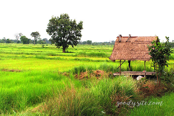 บุรีรัมย์ 16 เถียงนา ณ จังหวัดบุรีรัมย์