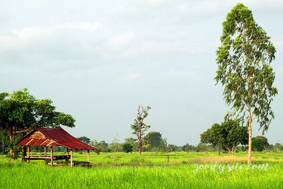 บุรีรัมย์ 16 เถียงนา ณ จังหวัดบุรีรัมย์