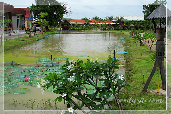 บุรีรัมย์ 1 จินตนา รีสอร์ท จังหวัดบุรีรัมย์