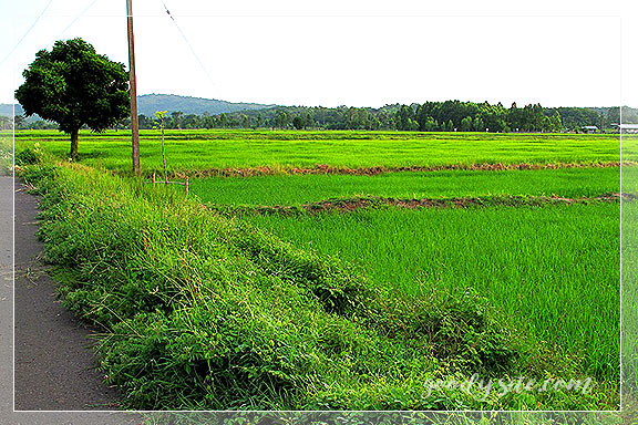 บุรีรัมย์ 9 บนถนน On the Road เดินทางค้นหาอุทยานประวัติศาสตร์