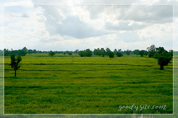 บุรีรัมย์ 11 พี แอนด์ พี รีสอร์ท อ. ประโคนชัย จ. บุรีรัมย์