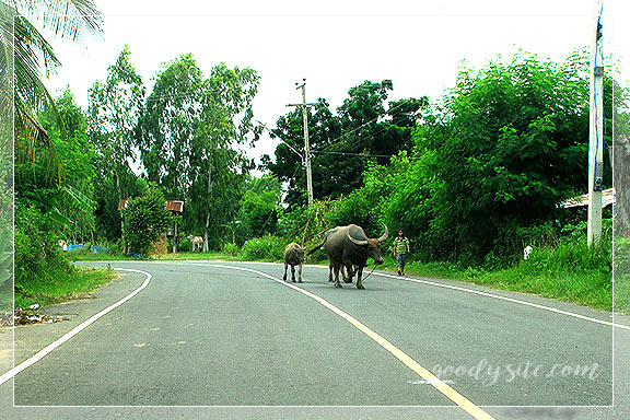 บุรีรัมย์ 10 ที่นี่ ที่ไหน In the Middle of Nowhere  ตามรอยอุทยานประวัติศาสตร์
