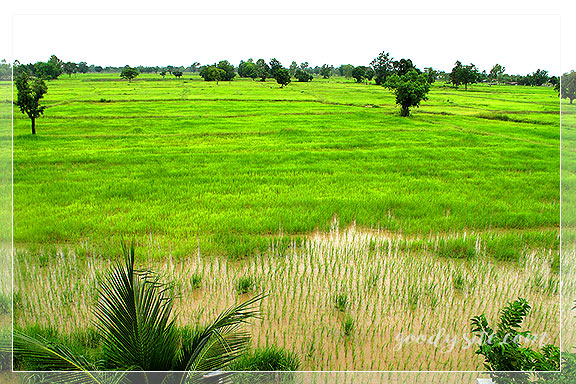บุรีรัมย์ 10 ที่นี่ ที่ไหน In the Middle of Nowhere  ตามรอยอุทยานประวัติศาสตร์