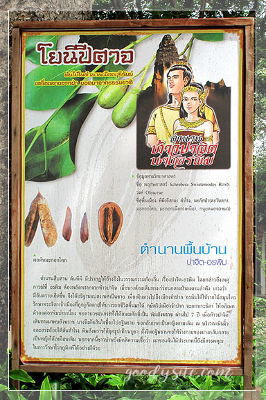 บุรีรัมย์ 3 ภูเขาไฟกระโดง